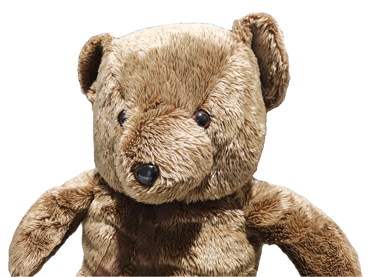 Toy Tidy Bear for House Recoating