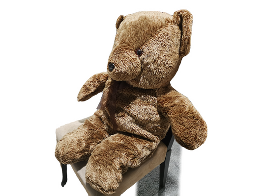 Toy Tidy Bear for House Recoating