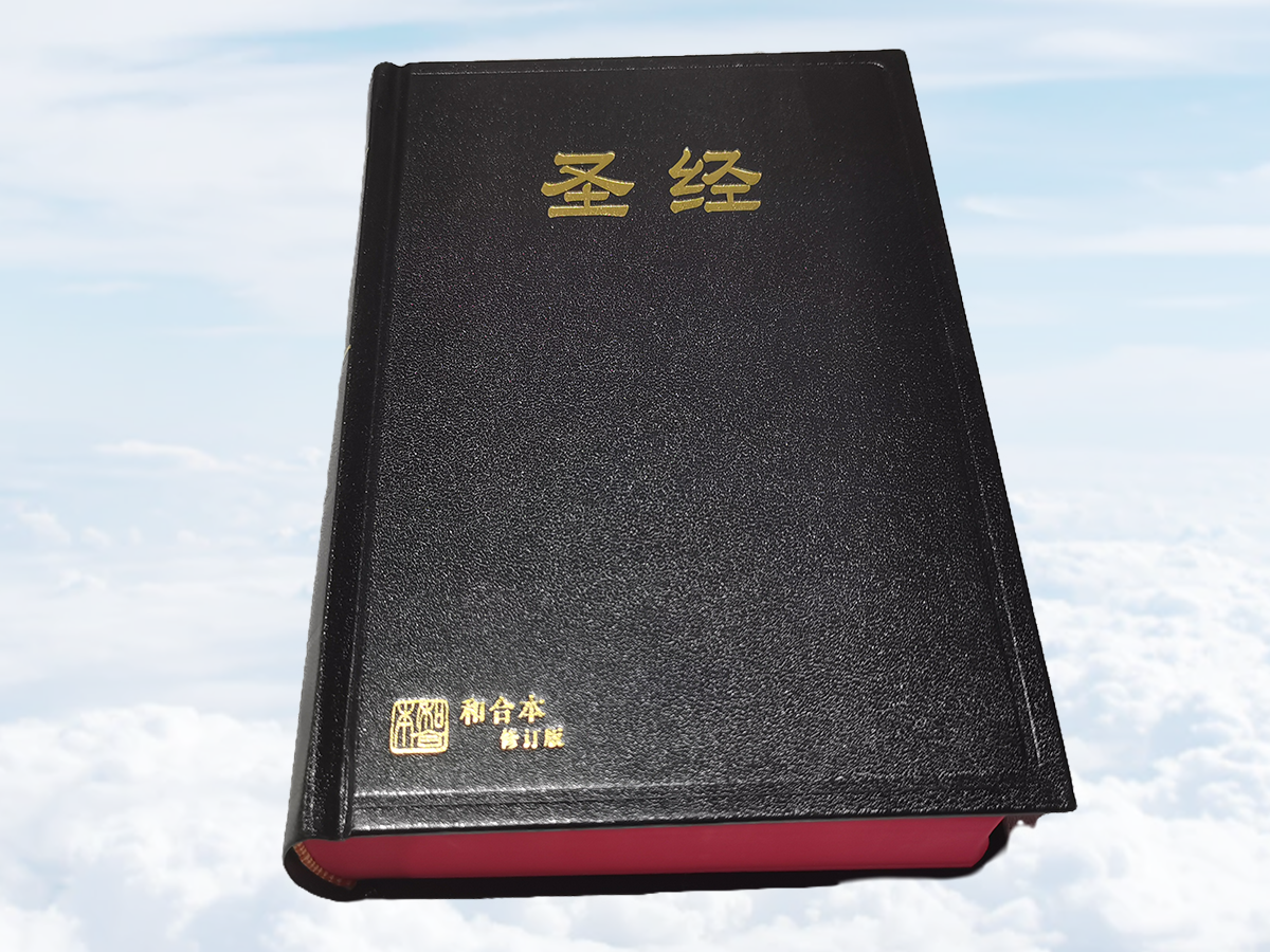 Holy Bibles with Black Cover