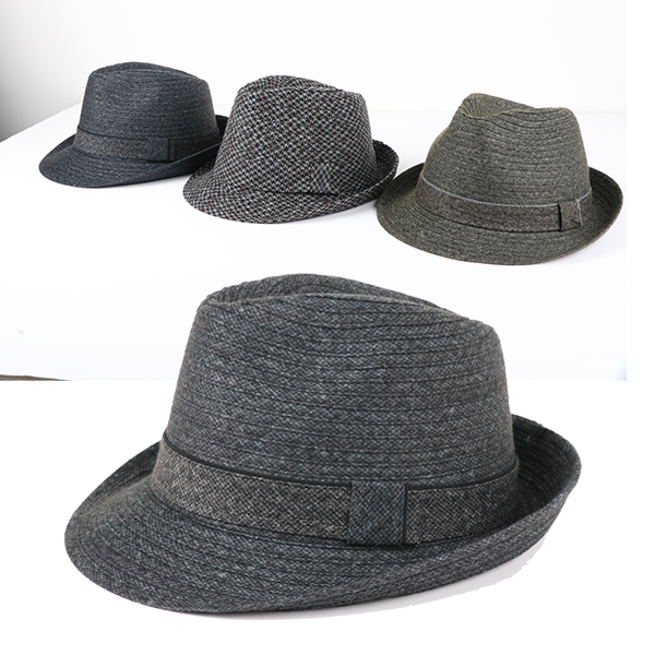 Men's Korean Style Hats (HK-3005)